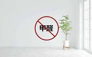 包头东河区西脑包灭蟑螂 甲醛治理 厂房开荒 管道清洗